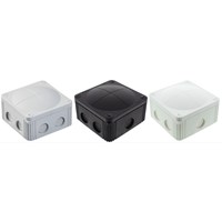 combi607 group photo.JPG
